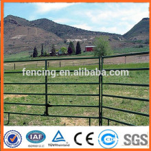 1.6mX2.1m Hot-dipped Galvanized Farm Livestock panel for sheep or goats